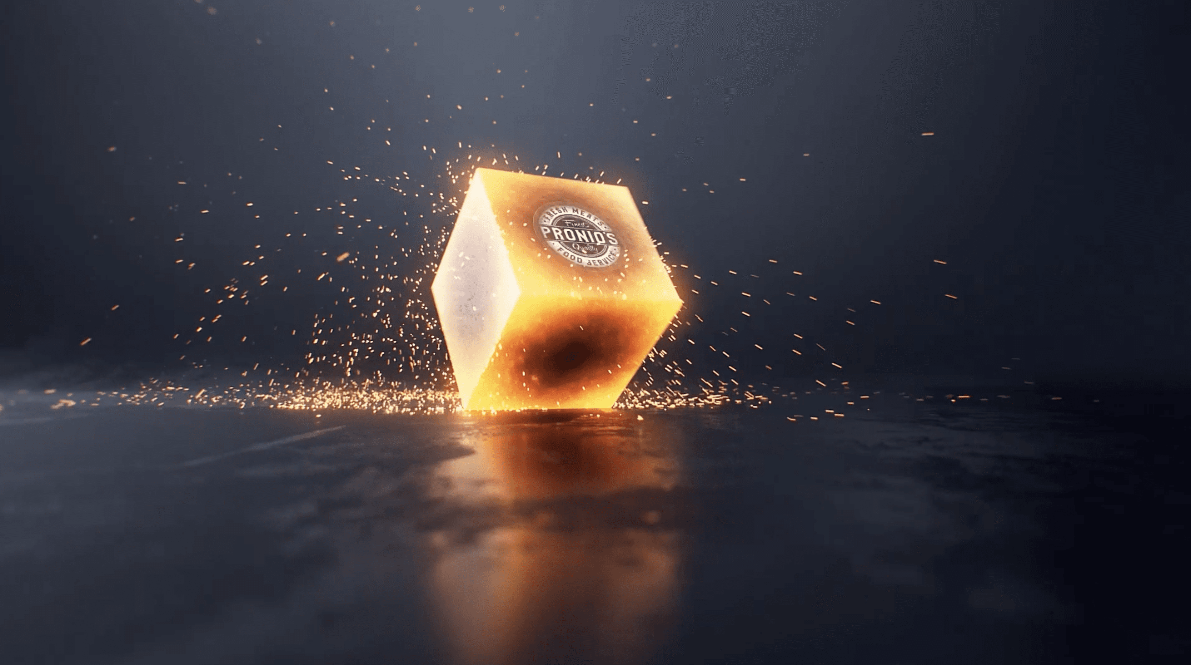 LOGO ANIMATION
